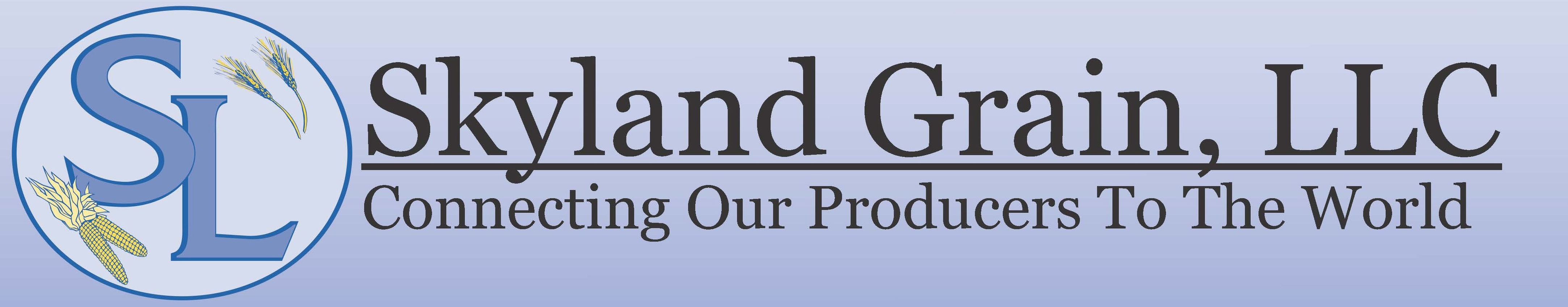 logo11