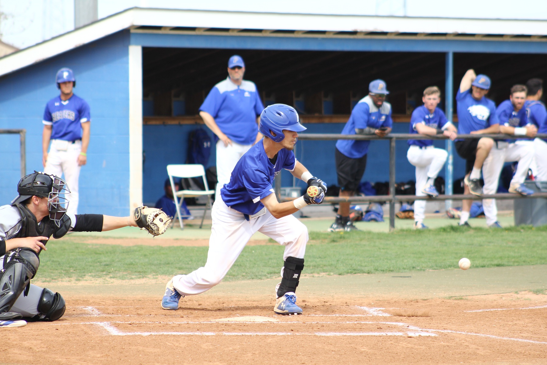 Beavers give up seventh inning lead to Barton