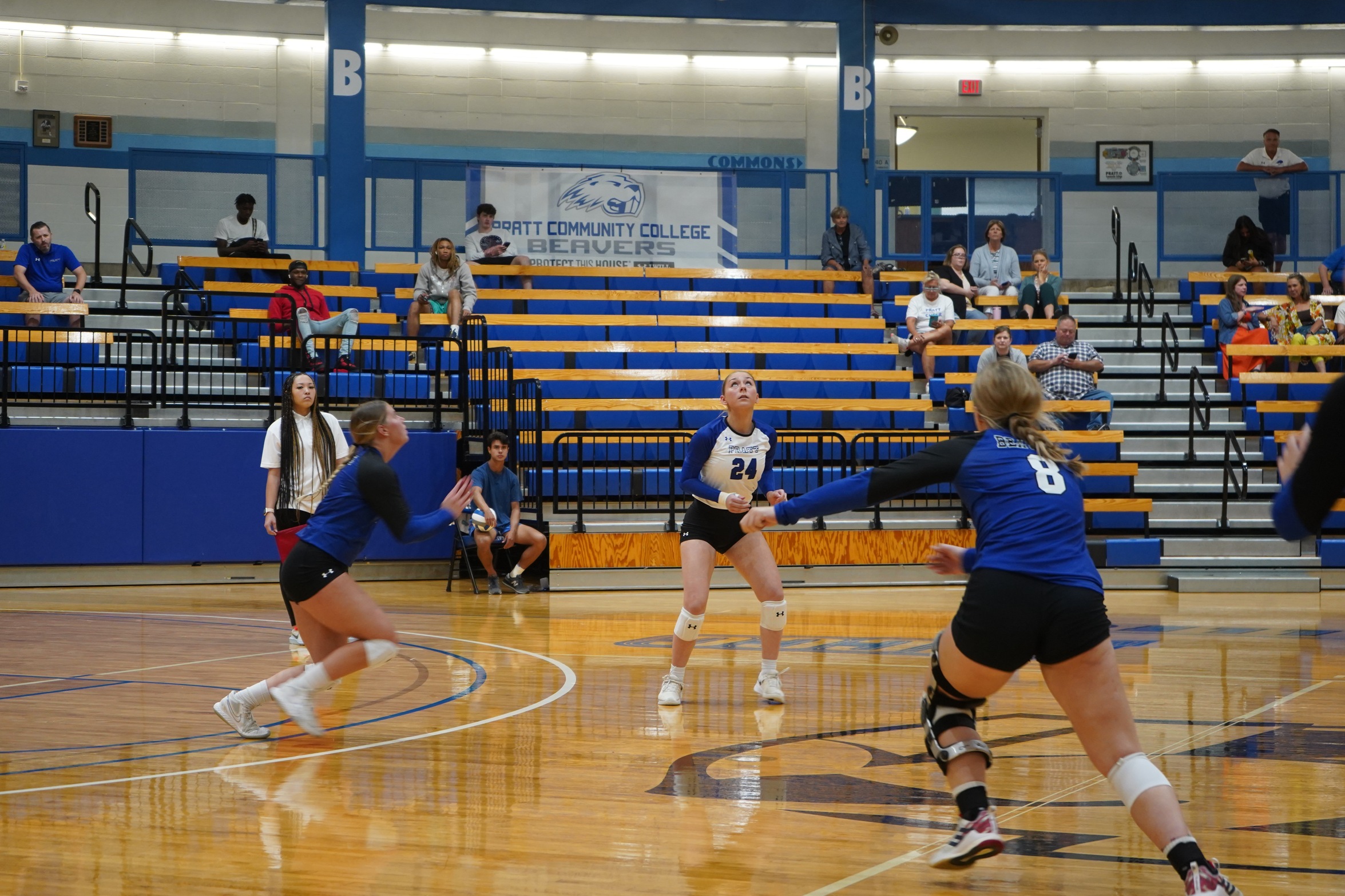 Beavers Ready to Shock People as Conference Play Begins